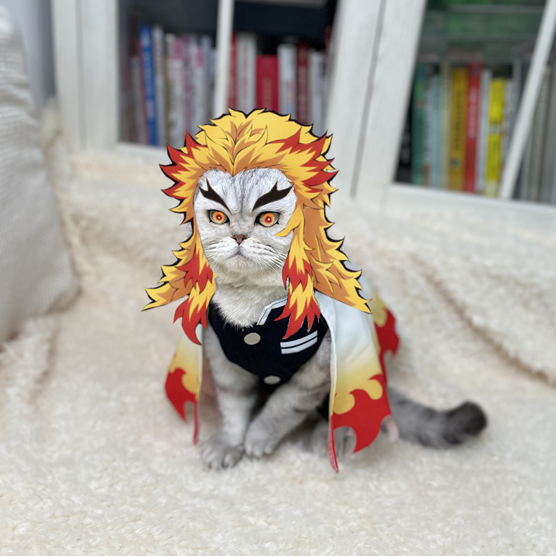 Cosplay Flame Prop - Demônio Slayer Pet Cosplay Vestidos, Rengoku
